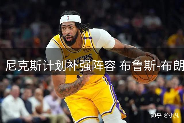 尼克斯计划补强阵容 布鲁斯-布朗成引援目标
